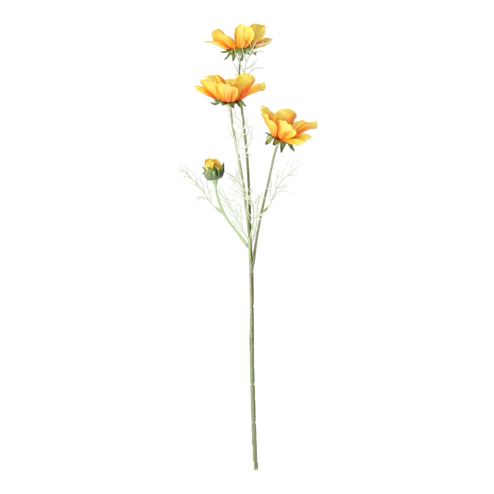 Calliopsis geel 64 cm