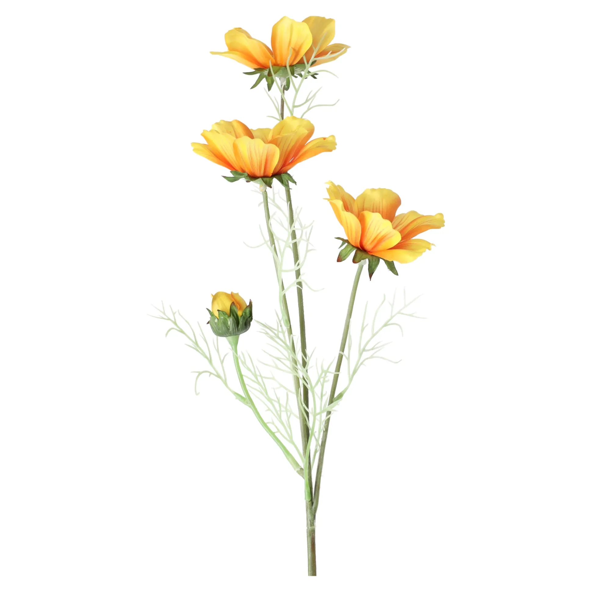 Calliopsis geel 64 cm
