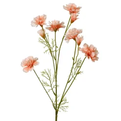 Carnation 82 cm perzik