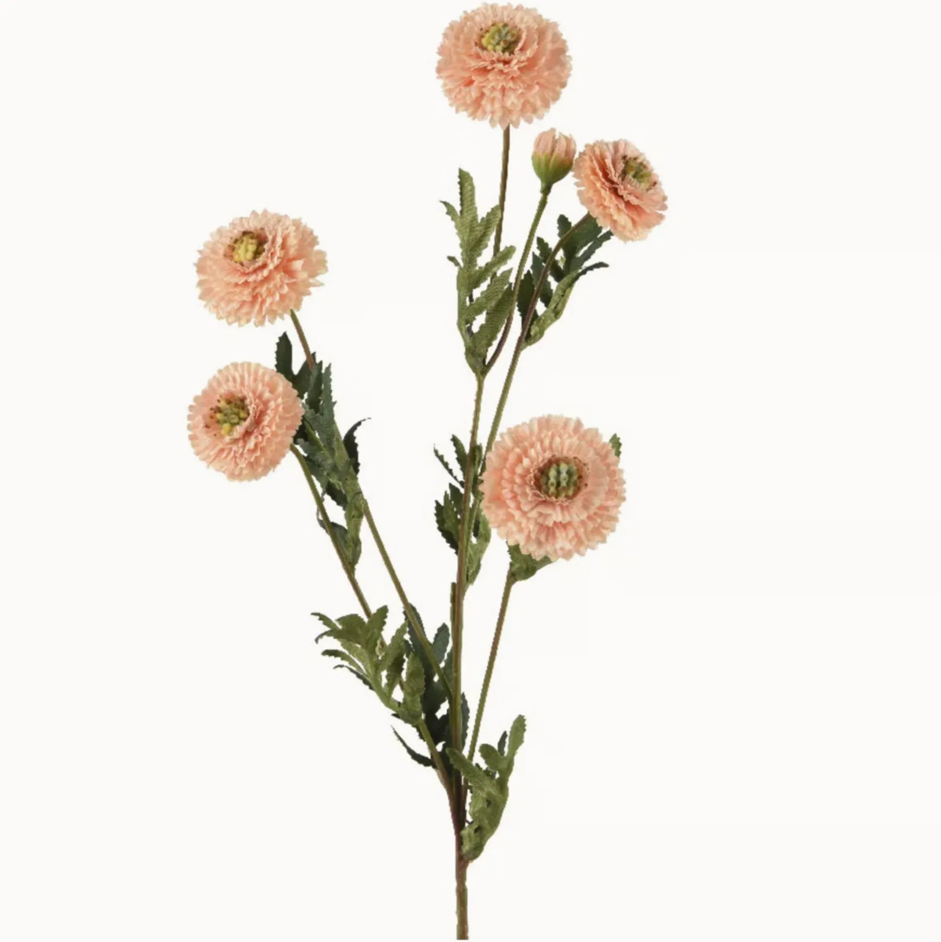 Chrysant perzik 69 cm