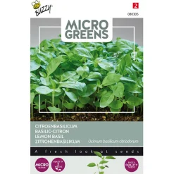Citroenbasilicum Microgreens Zaden Buzzy