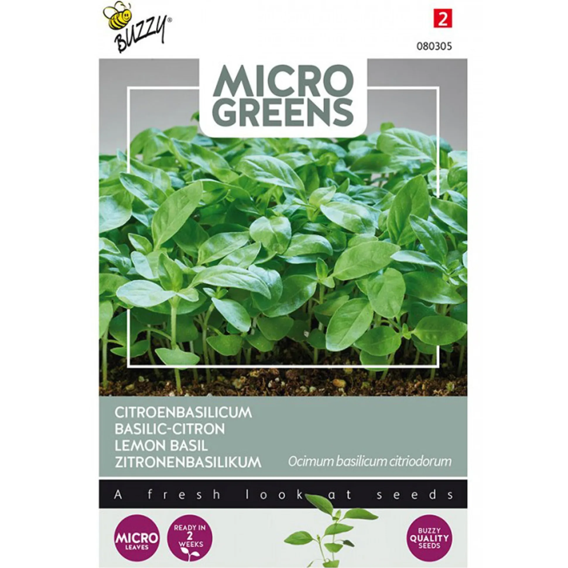 Citroenbasilicum Microgreens Zaden Buzzy