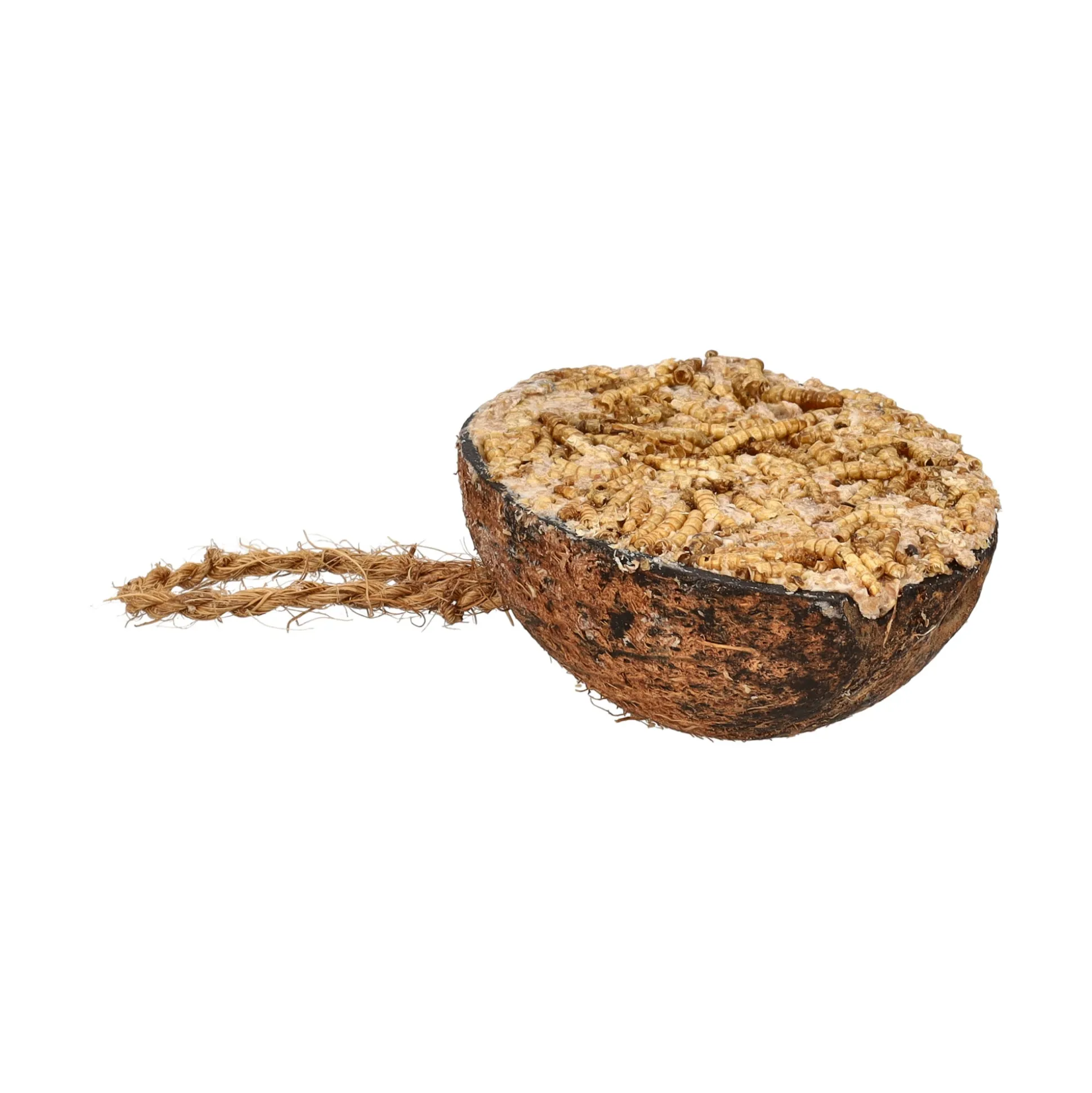 Cocosnoot half vet met meelworm Smulti