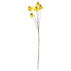 Coneflower geel 92 cm