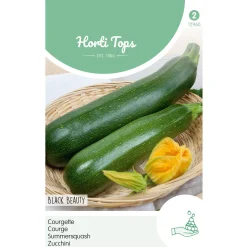 Courgette Black Beauty