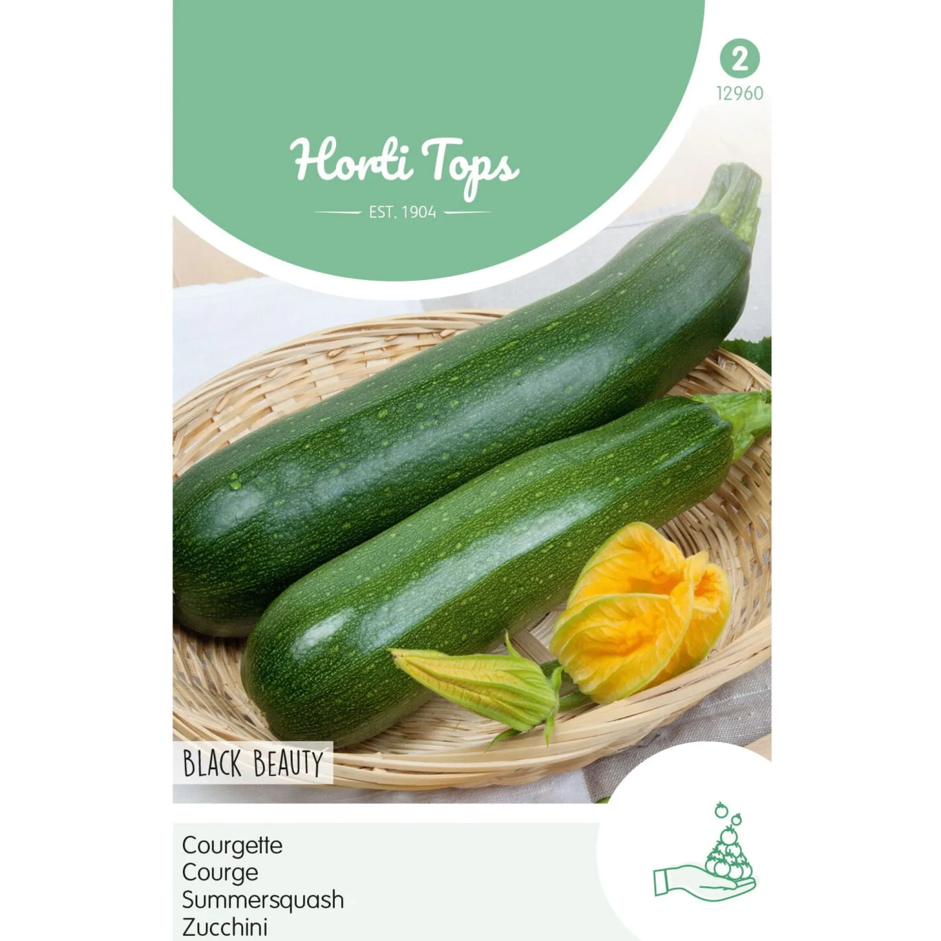 Courgette Black Beauty