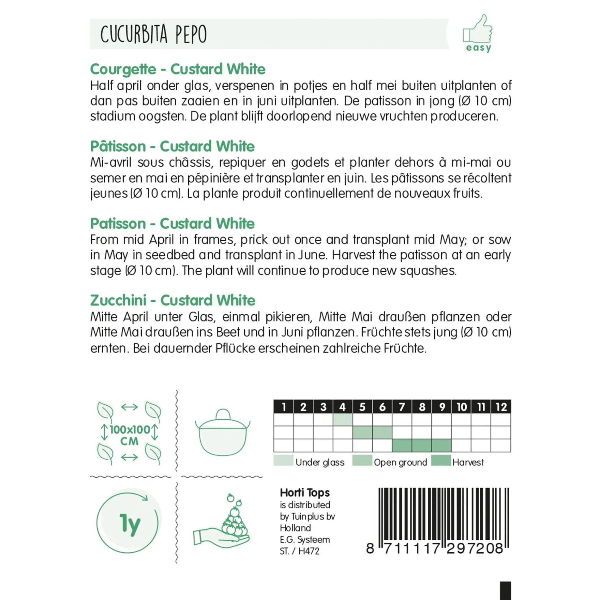 Courgette Custard White