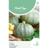 Courgette Di Nizza