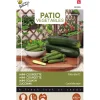 Courgette Patio ster F1