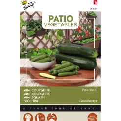Courgette Patio ster F1