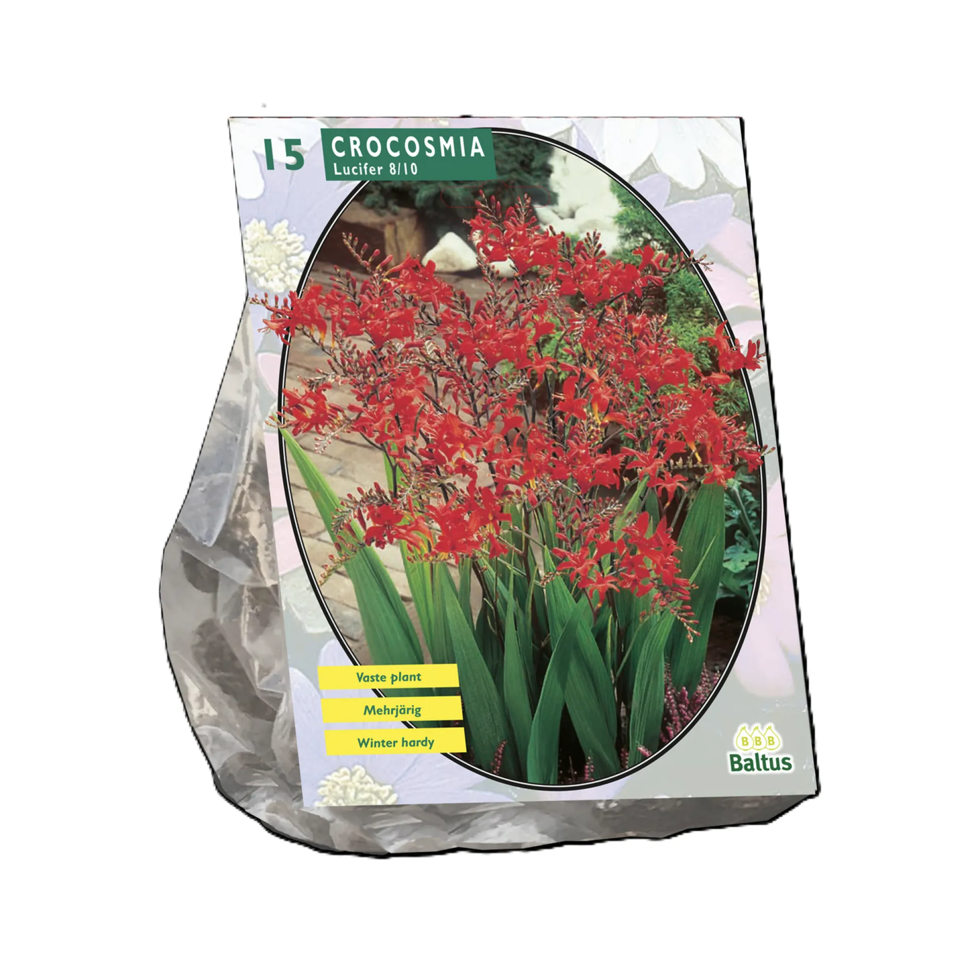 Crocosmia Lucifer per 15 stuks