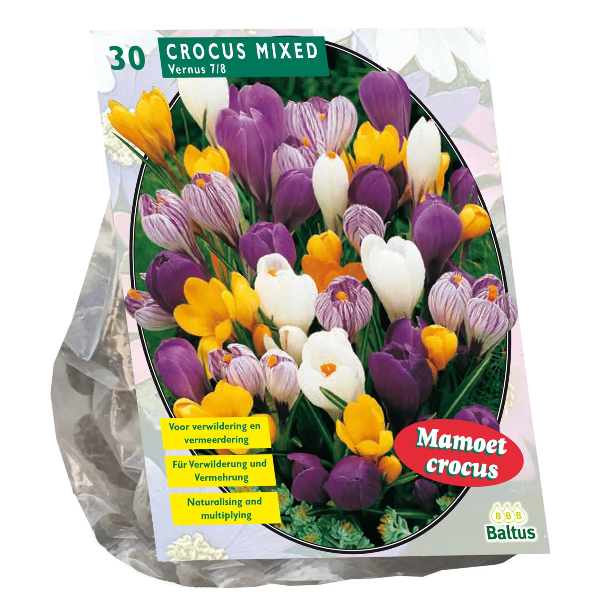 Crocus Grootbloemig mix per 30