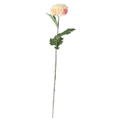 Dahlia op steel creme 75 cm