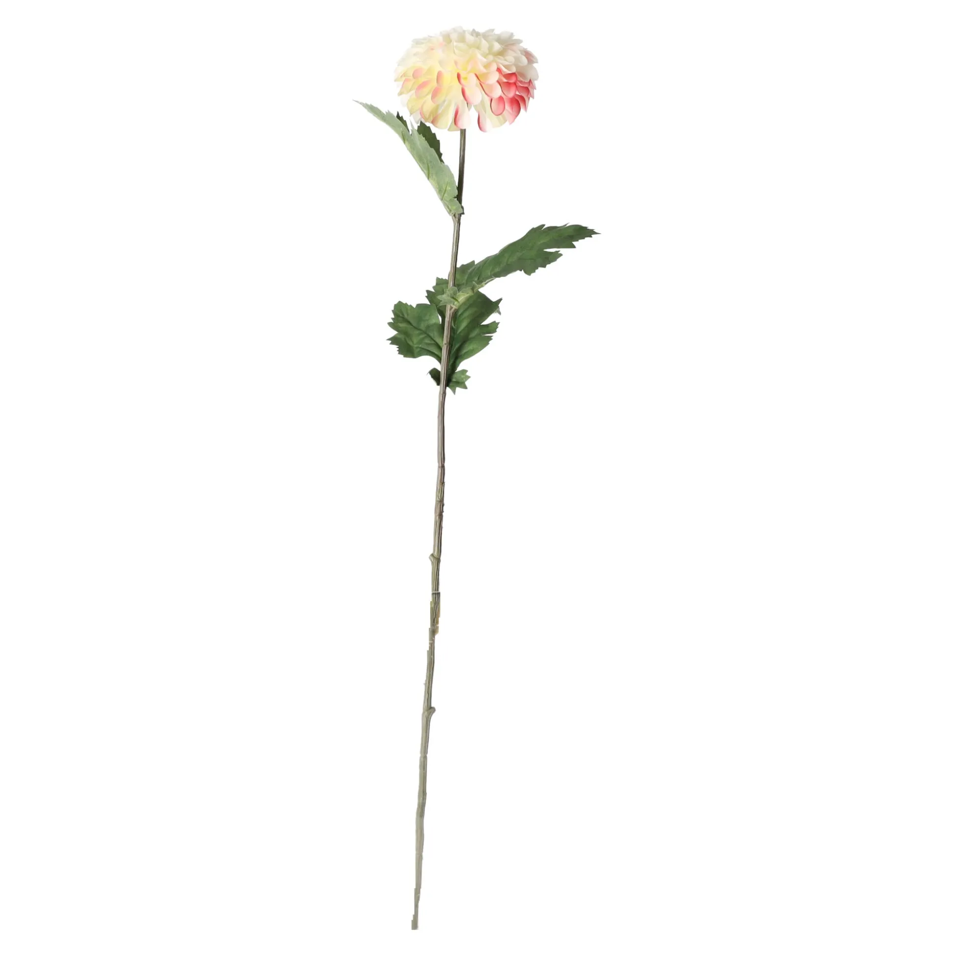 Dahlia op steel creme 75 cm