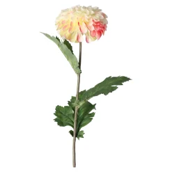 Dahlia op steel creme 75 cm