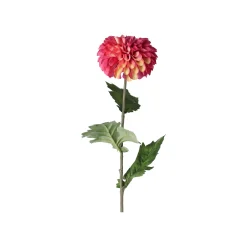 Dahlia op steel fuchsia 75 cm