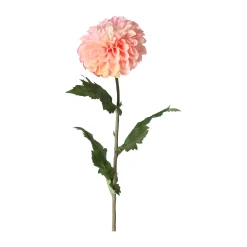 Dahlia op steel roze 75 cm