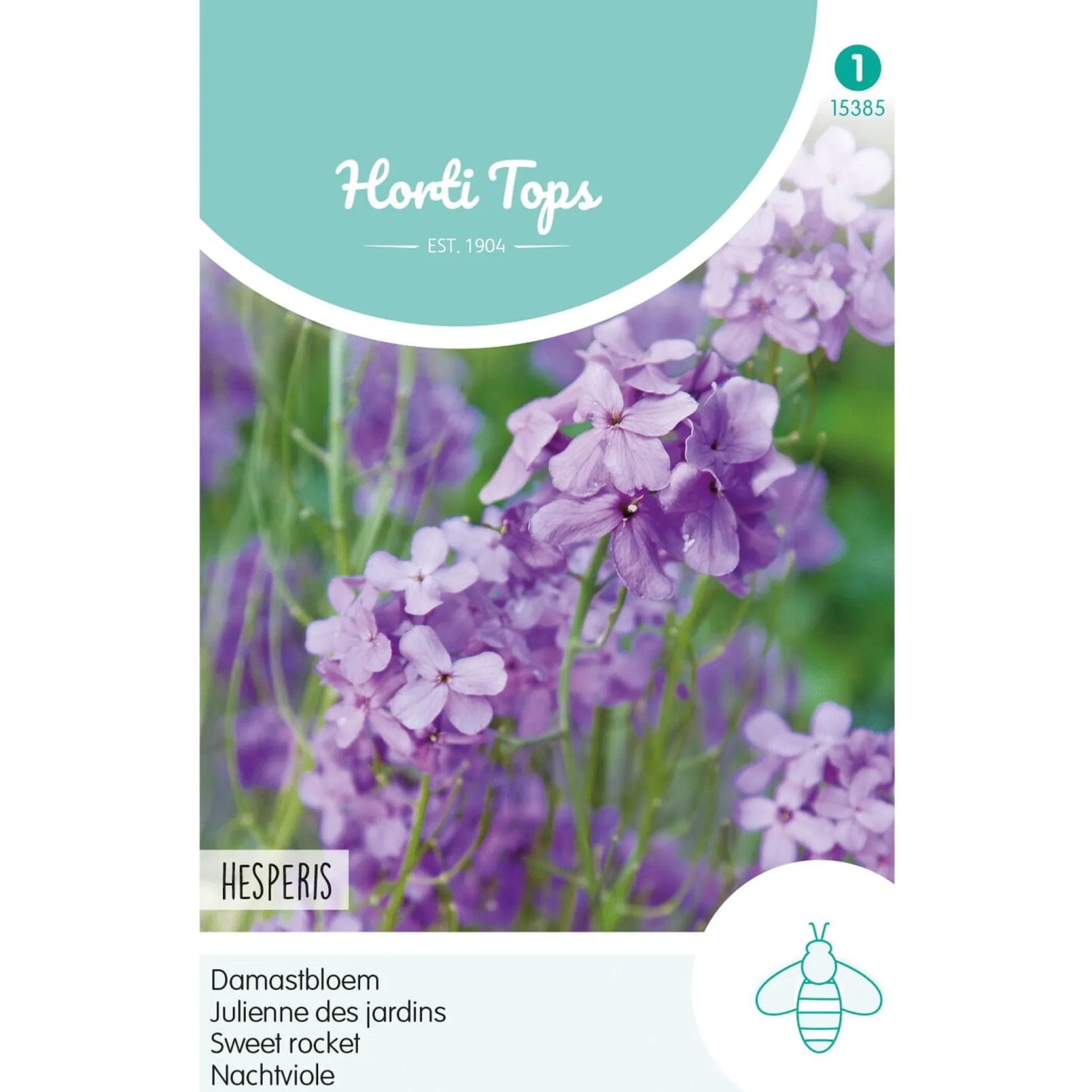 Damastbloem violet