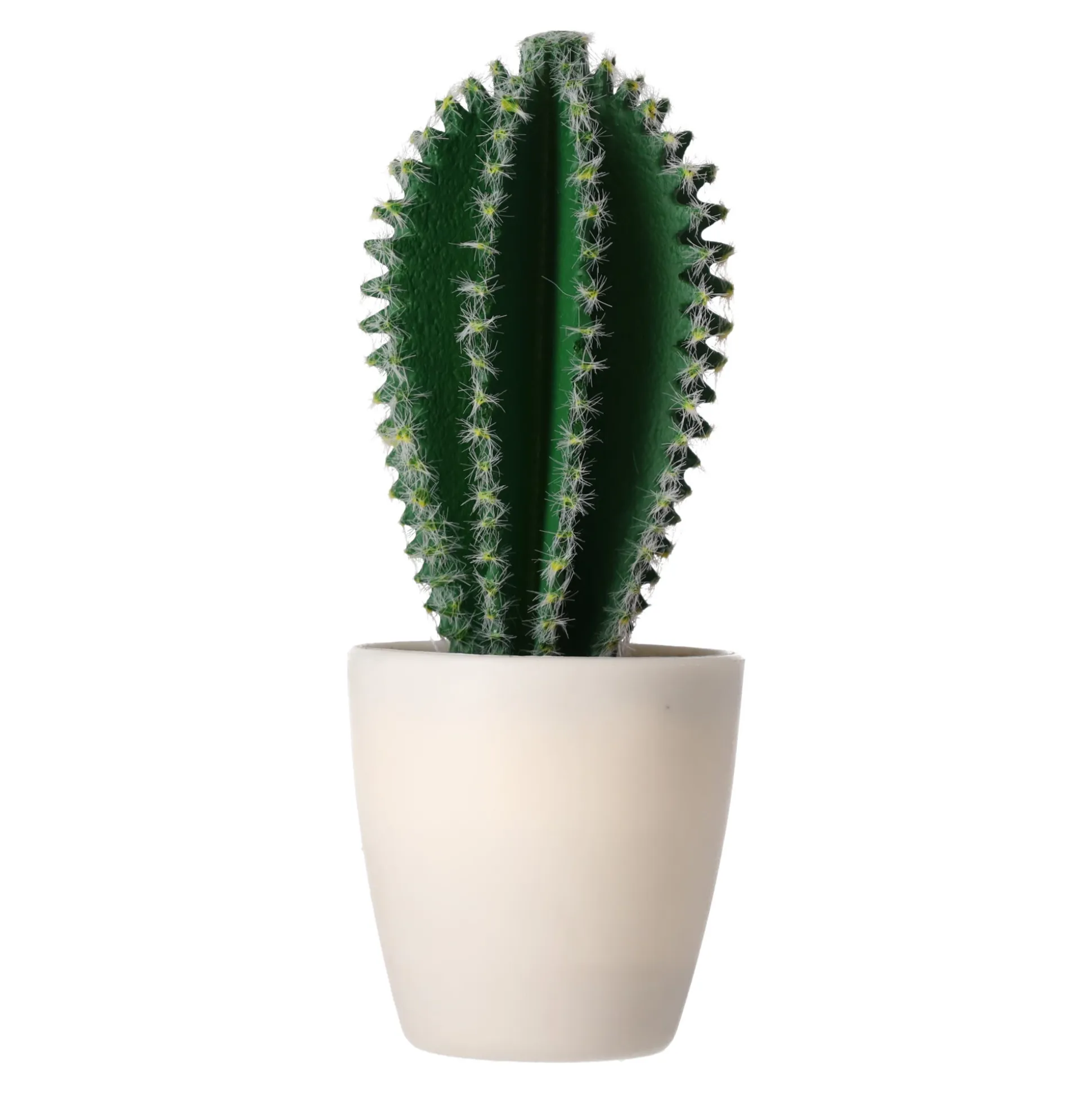 Decoratieve cactusplant 19 cm diverse assorti