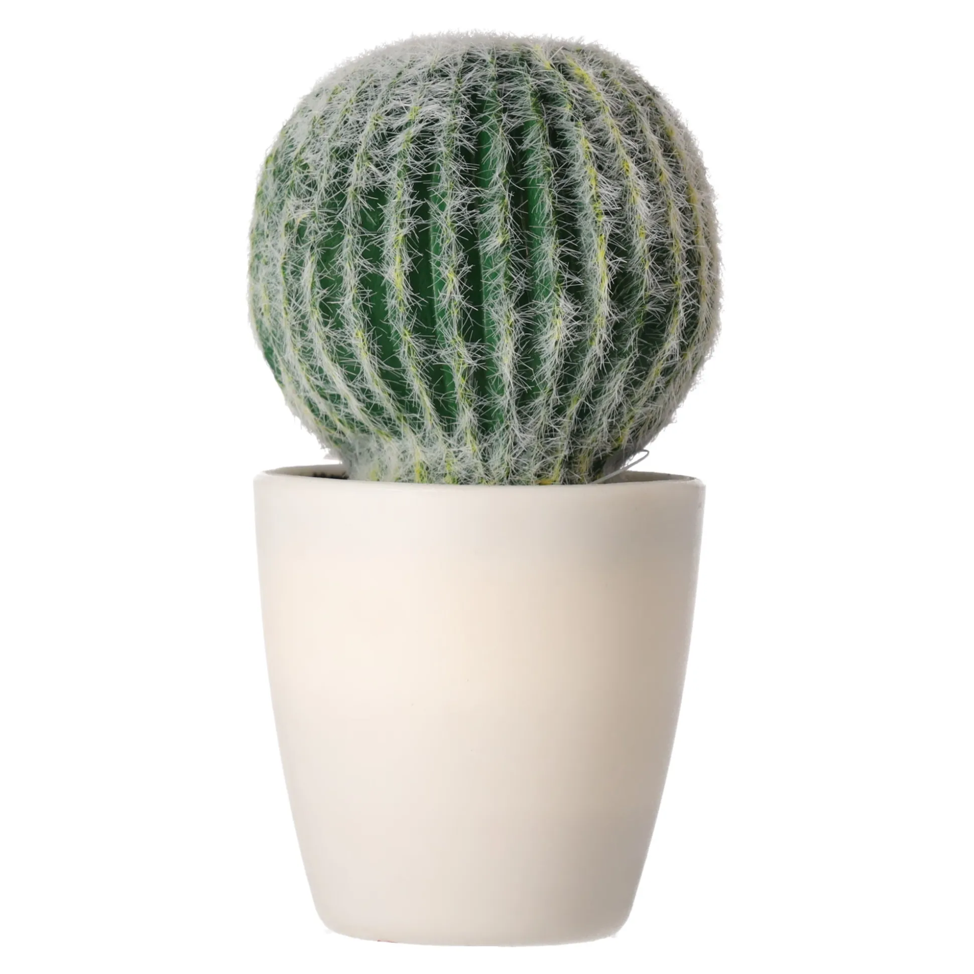 Decoratieve cactusplant 19 cm diverse assorti