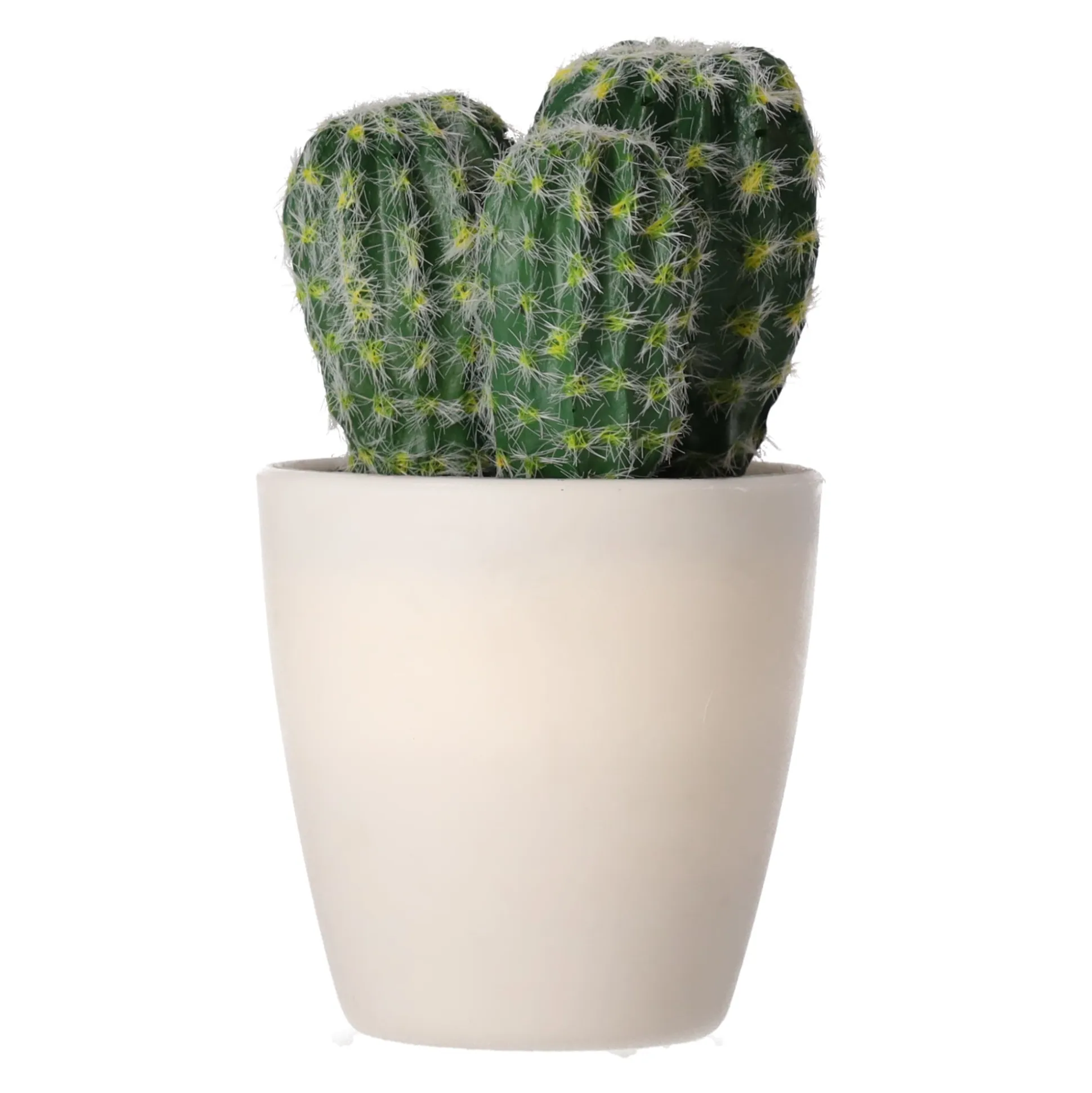 Decoratieve cactusplant 19 cm diverse assorti
