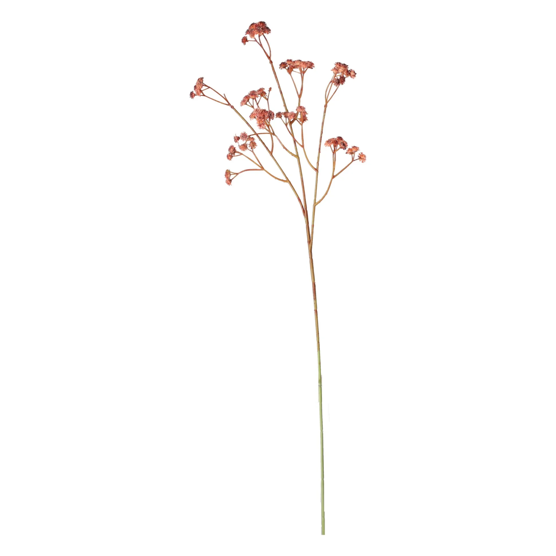 Decoratieve tak bruidssluier 60 cm 2 assorti