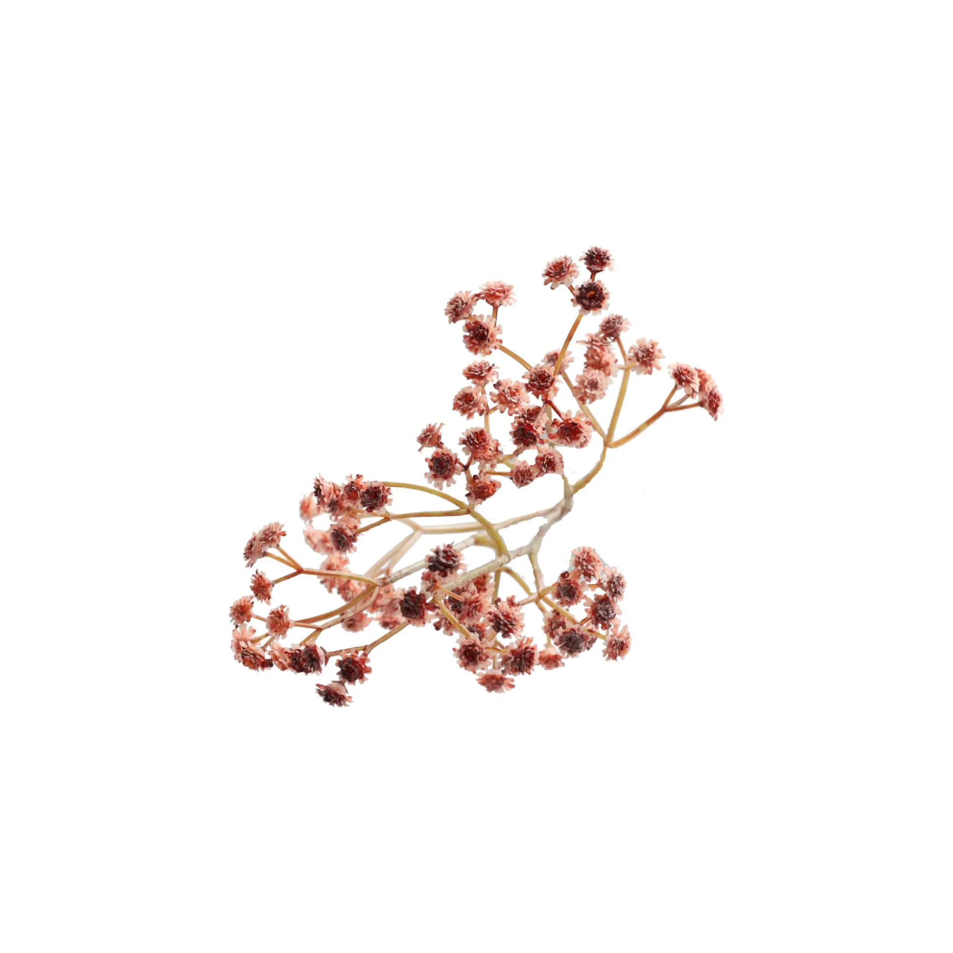 Decoratieve tak bruidssluier 60 cm 2 assorti
