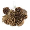 Dennenappel natural 200g
