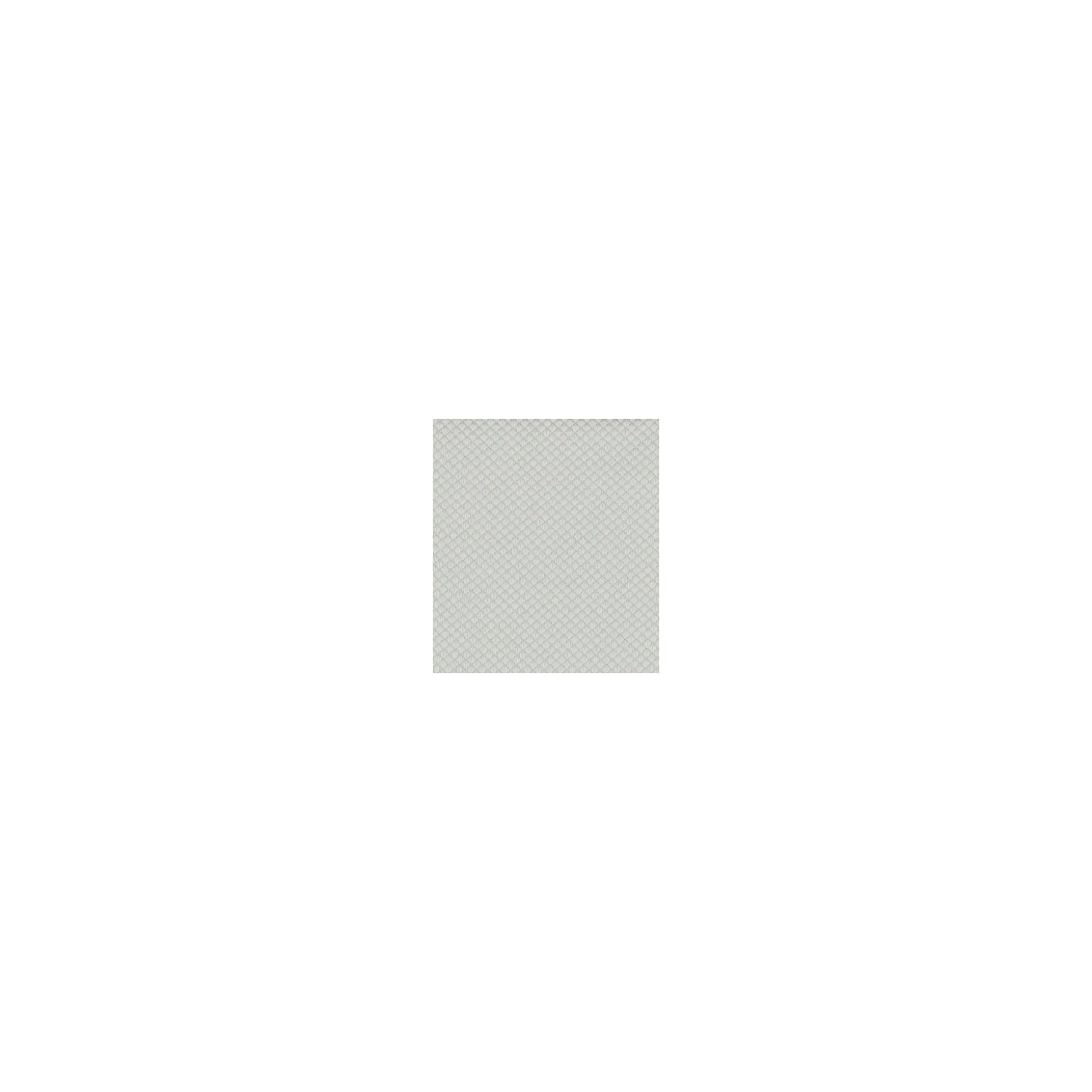 Doek glas 30x40cm RS019 Nevac