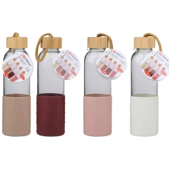 Drinkfles 500ml assorti Alpina