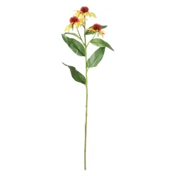 Echinacea geel 62 cm
