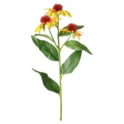 Echinacea geel 62 cm