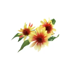 Echinacea geel 62 cm