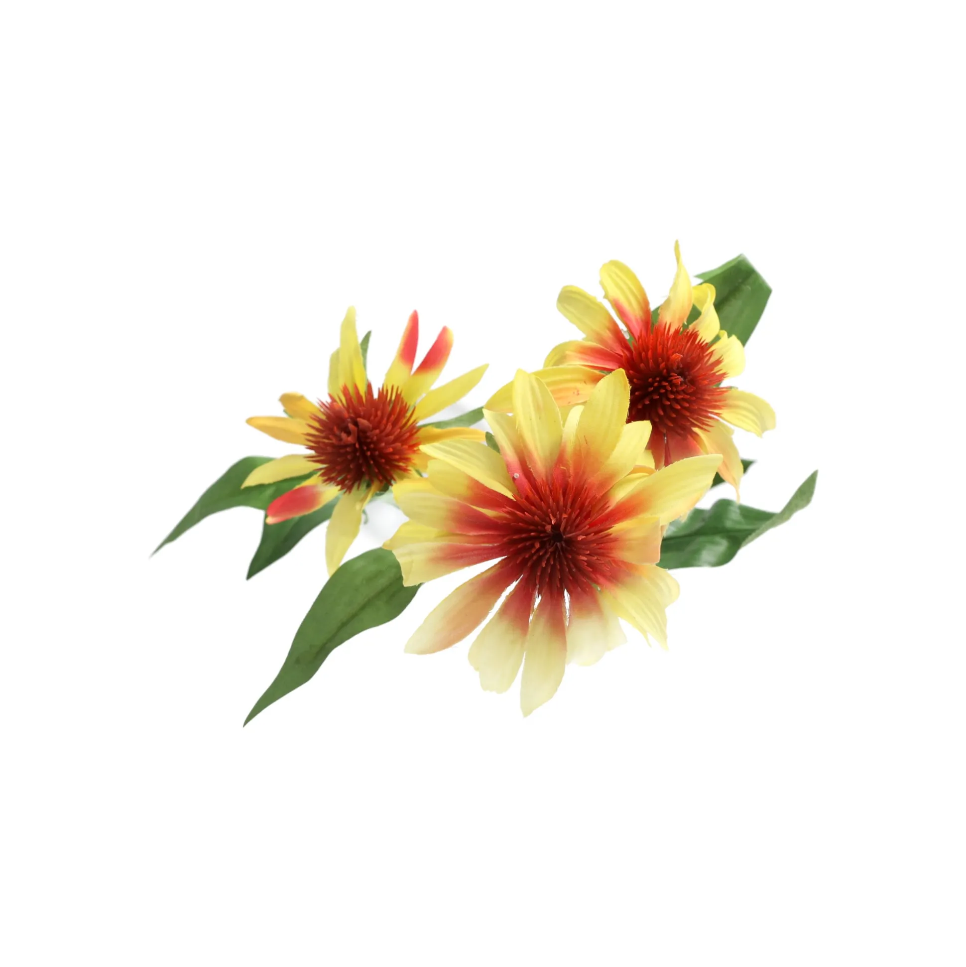 Echinacea geel 62 cm