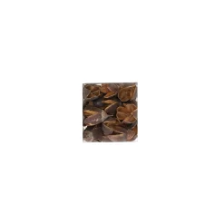 Exotische mix natuur 6 x 6 x 14 cm 6 assorti