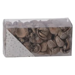 Exotische mix natuur white-wash 6 x 6 x 14 cm 6 assorti