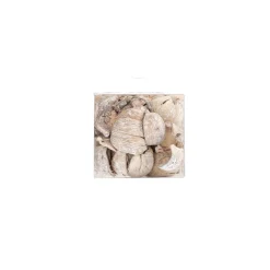 Exotische mix natuur white-wash 6 x 6 x 14 cm 6 assorti