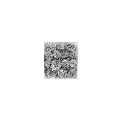 Exotische mix natuur zilver 6 x 6 x 14 cm 6 assorti