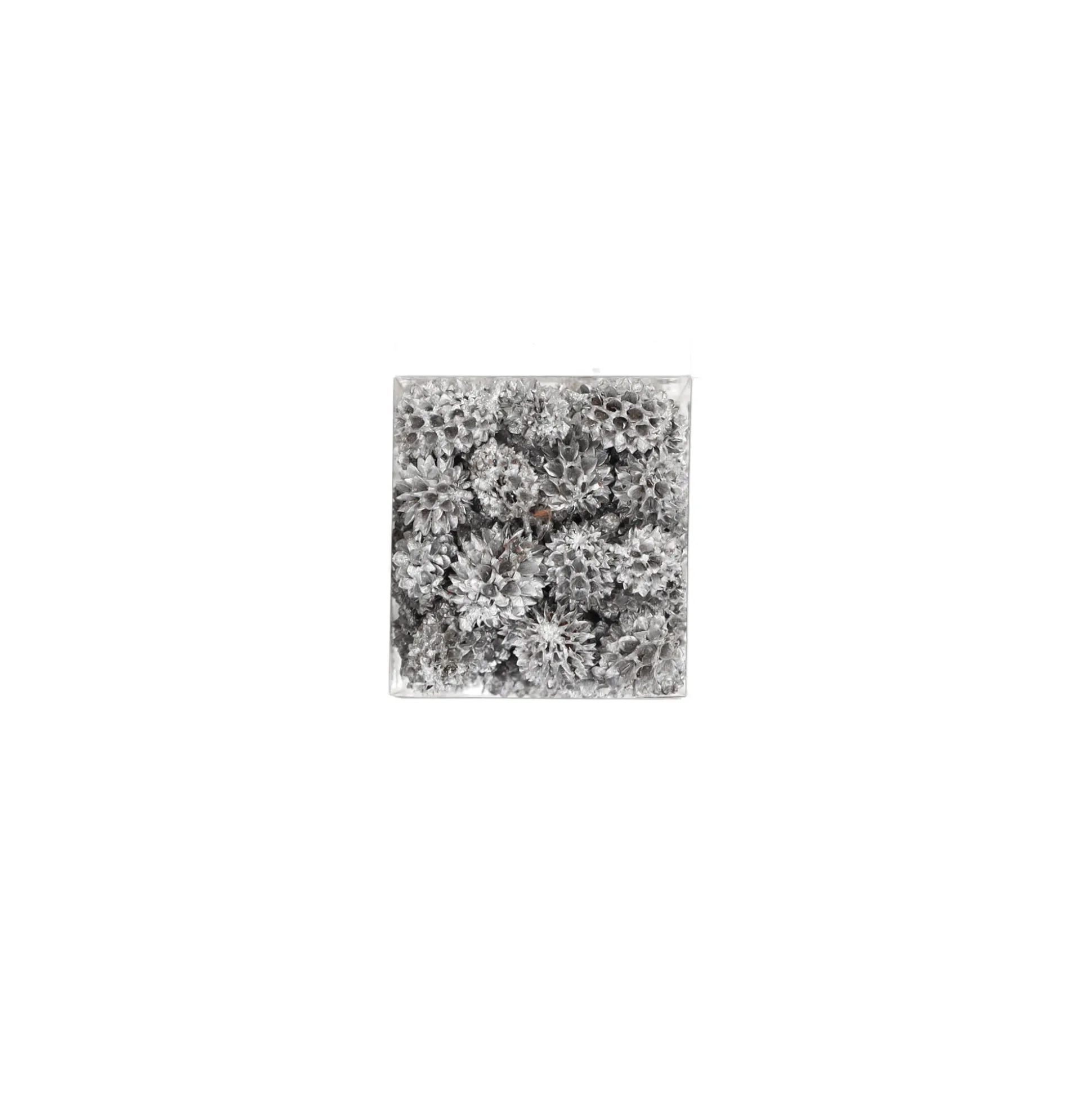 Exotische mix natuur zilver 6 x 6 x 14 cm 6 assorti
