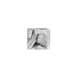Exotische mix natuur zilver 6 x 6 x 14 cm 6 assorti
