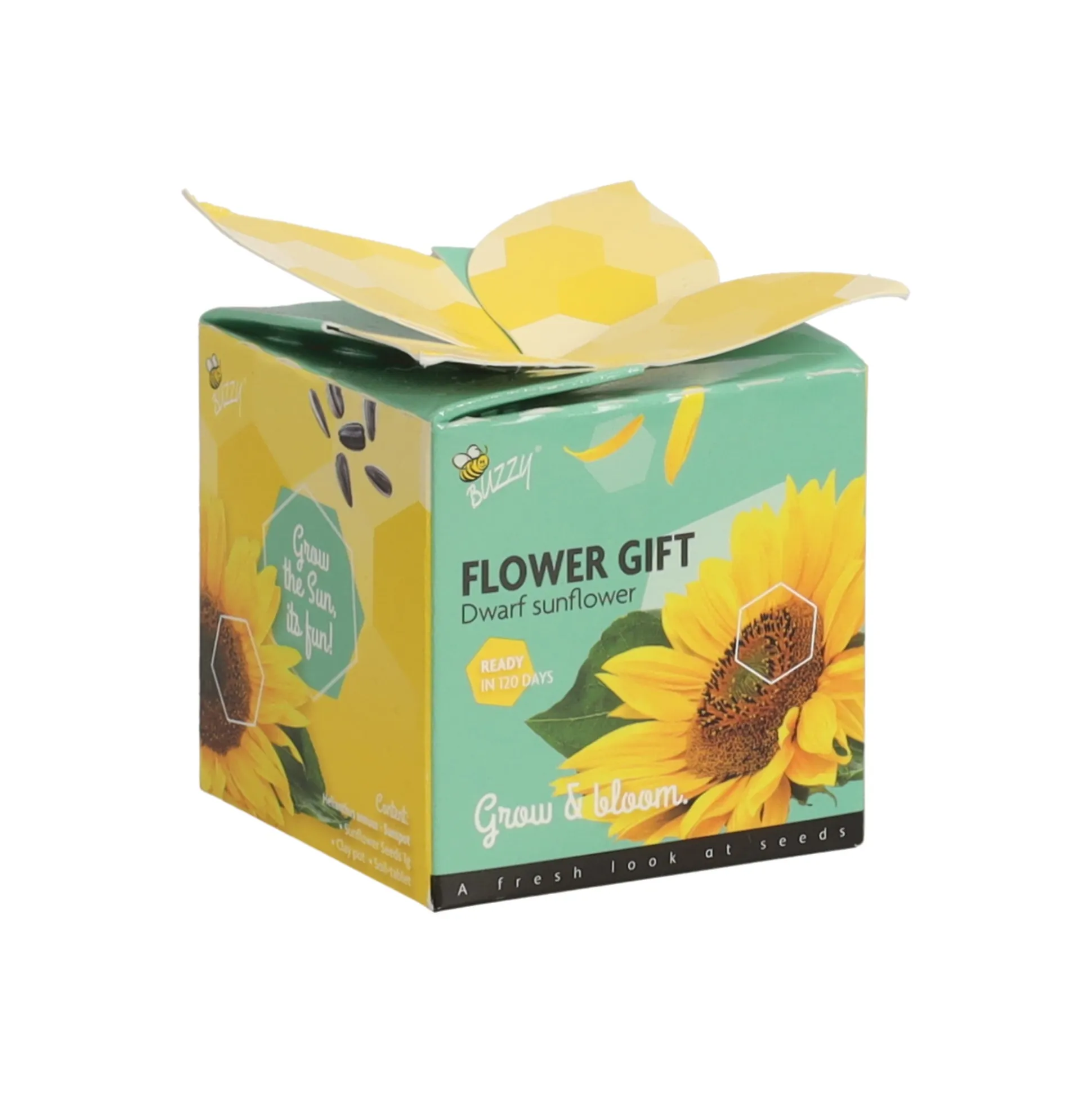 Flower Gift Zonnebloem Buzzy