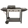 Gasbarbecue Harz ER-8206C1 DE