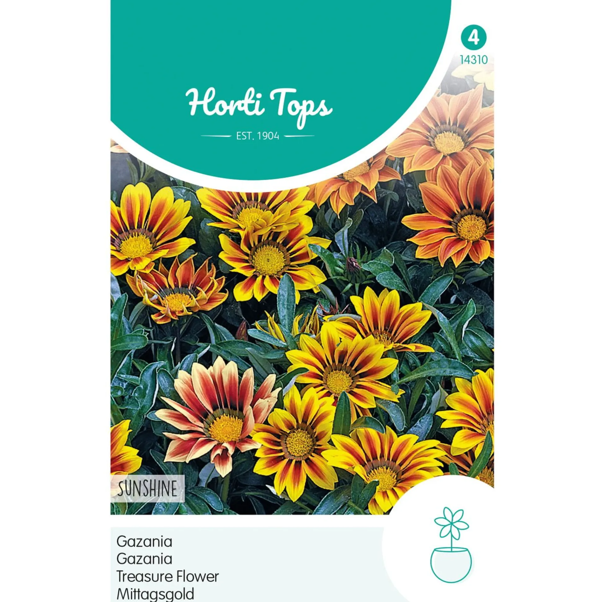 Gazania Sunshine mix