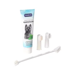 Gebitsverzorging set FP