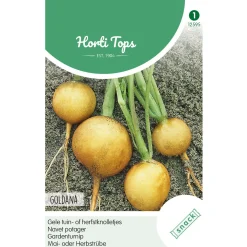 Gele tuin- of herfstknolletjes Goldana zaad