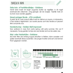 Gele tuin- of herfstknolletjes Goldana zaad