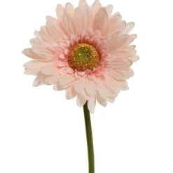 Gerbera perzik 50 cm