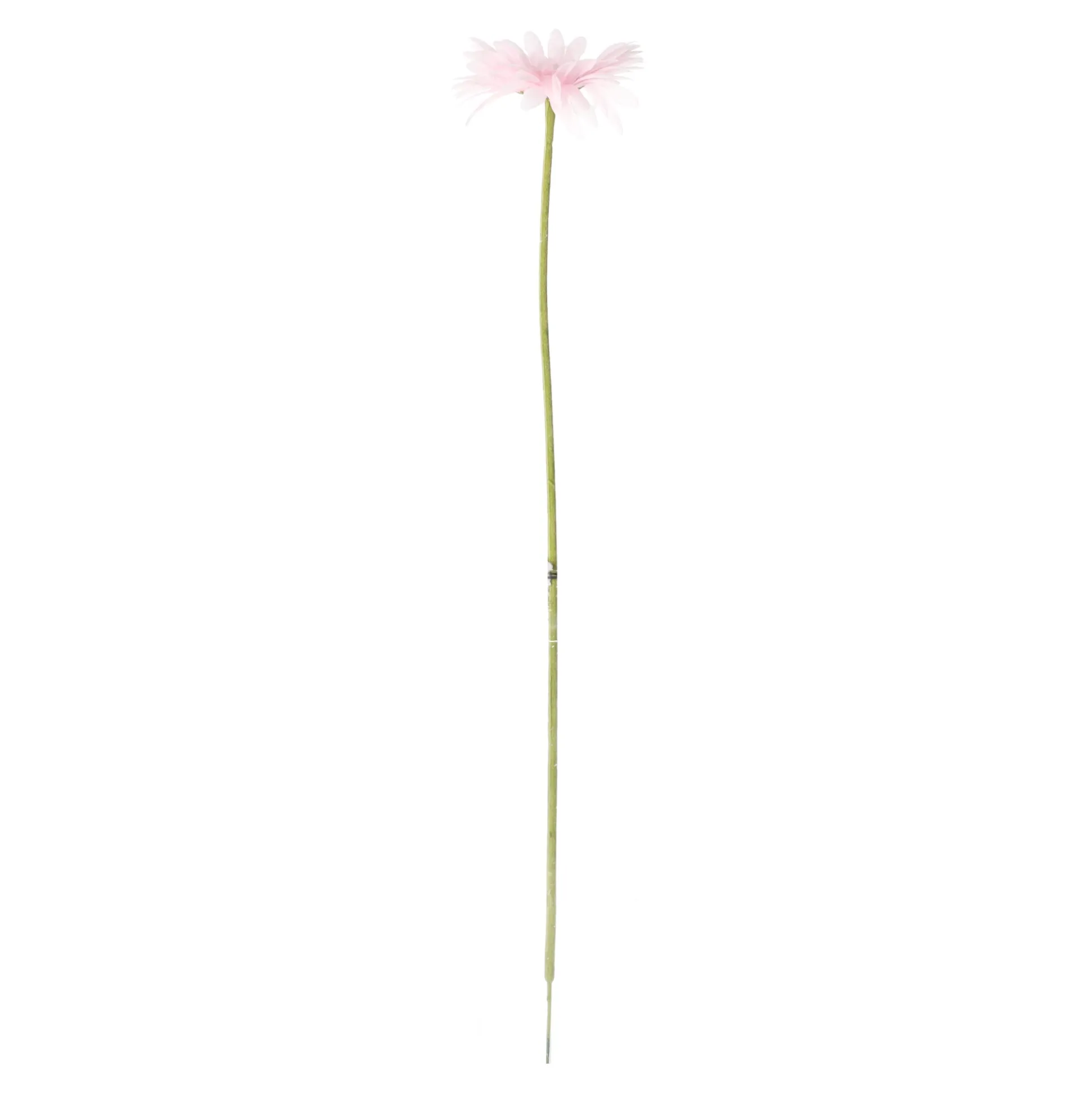 Gerbera roze 50 cm