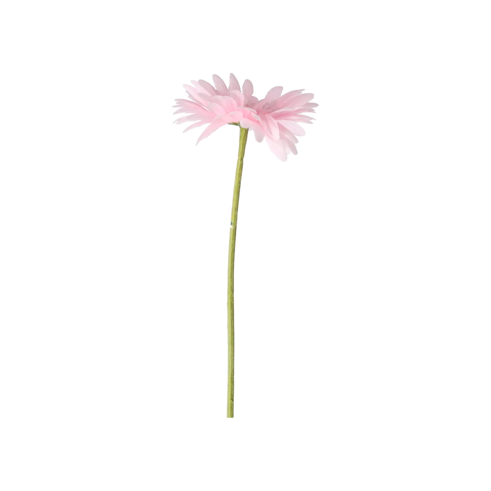 Gerbera roze 50 cm