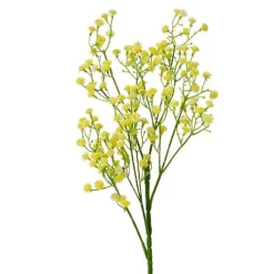 Gipskruid geel 65 cm